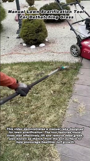 Manual Lawn Scarification Tool For Dethatching Grass