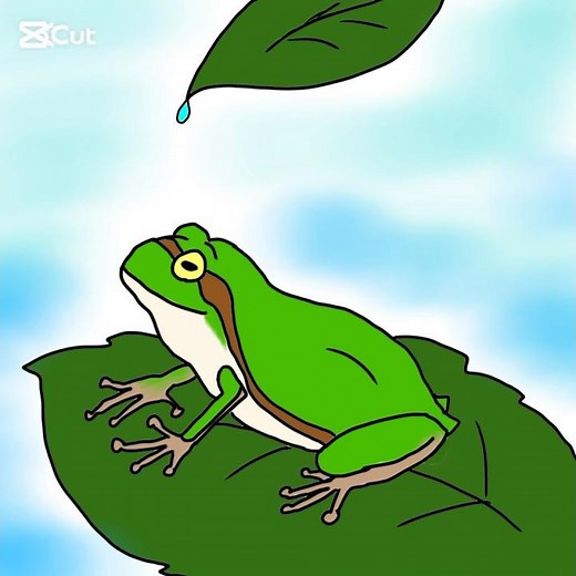 カエル飼いたい🐸 #アニメーション #animation #キャラクターアニメーション #ゆるいイラスト #シュールアニメ #イラスト#カエル #かえる
