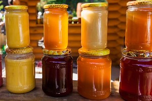 Pourquoi le miel a plusieurs couleurs ?