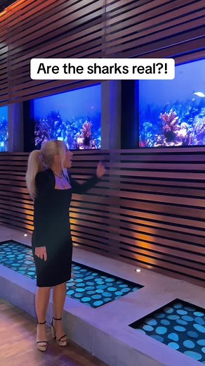 Behind the Scenes of Shark Tank: Are the Sharks Real?
