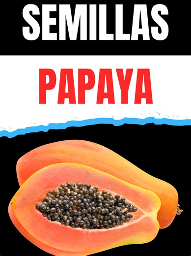 Semillas de papaya elimina parásitos 🪱 #diabetes #diabetestipo2 #higadograso #diabeticos #perdergrasa