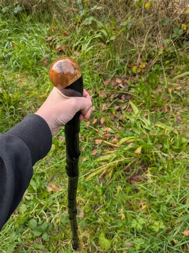 Handcrafted Irish Blackthorn Walking Stick – Naturally Formed, Traditional Finish - Etsy UK