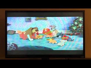 Opening to Winnie the Pooh 2011 DVD