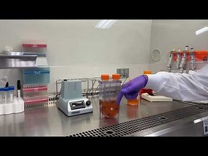 Harvesting in PBS Mini