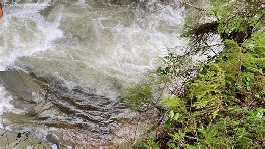 Recovery operation underway for woman swept away in river: Police