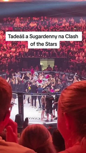 Videa uživatele crazy interviews (@crazy_interviews) s původní zvuk - crazy interviews