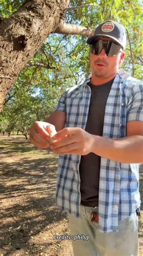 The Most Extreme Way Farmers Destroy Underground Pests 💥🐿️