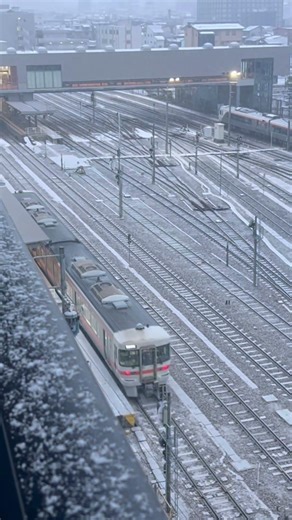 Japanese 313 series train arriving at station ￼￼￼