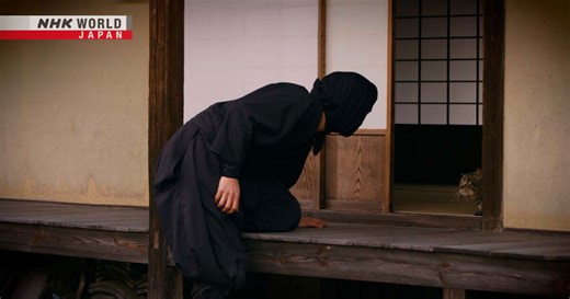 Ninja Arts Inspired by the Animal Kingdom - NINJA TRUTH