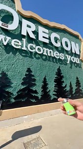 Why don’t our state welcome signs showcase the native wildflowers of the region‽ #guerrillagardening #savethebees #PlantNativePlants #conservation #FlowerPower #Oregon #bouquetofflowers #welcomesign | SFinBloom