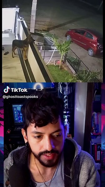 GhostToast on TikTok