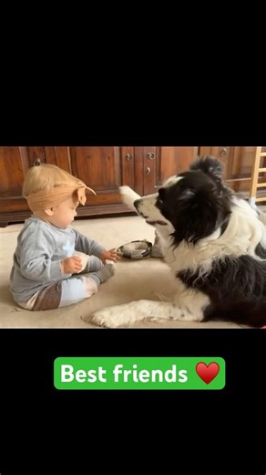 The best of friends 🥹 #bestfriend #dog #baby #cute #family #shorts