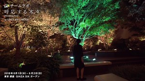 8.1K views · 514 reactions | teamLab: Resonating Trees in GINZA SIX GARDEN. Through digital technology, light and music change and respond to people's presence, transforming the rooftop garden into a digital art space. Open August 1, 2018 - September 2, 2018. https://www.teamlab.art/e/ginzasixgarden/ | teamLab / チームラボ | Facebook
