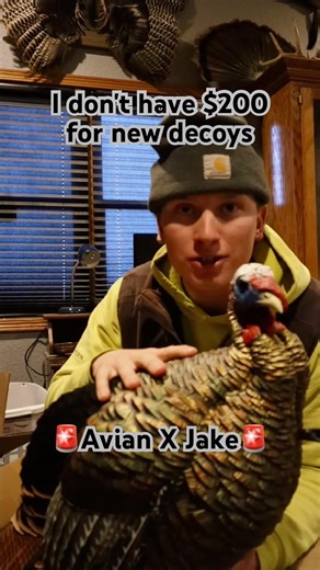 Top Level Budget Friendly Turkey Decoy! #turkeydecoys #ballingonabudget #budgetfriendly