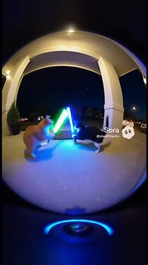 Funny lightsaber fight #funny #fyp #lightsaber