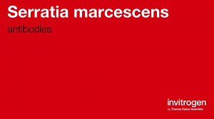 Serratia marcescens antibodies from Thermo Fisher Scientific