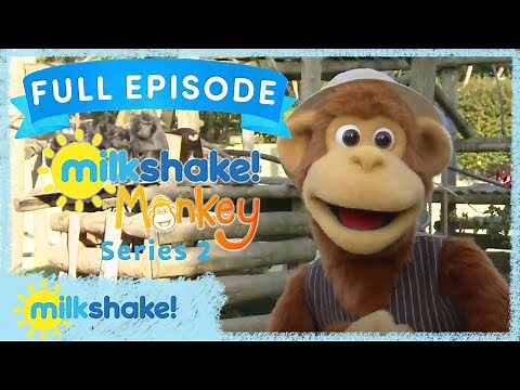 Milkshake! Monkey | Zoo Keeper | Full Episode