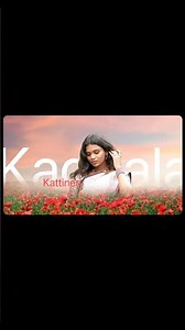 Alight motion editing tutorial Tamil😍