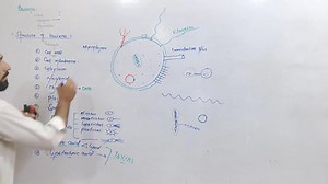 5.7K views · 678 reactions | Structure of Bacteria | Up Teaching Academy | Facebook