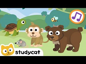 Animal Tree 🐶🐝| Nursery Rhymes & Kids Songs 🎶| Learn English | Studycat