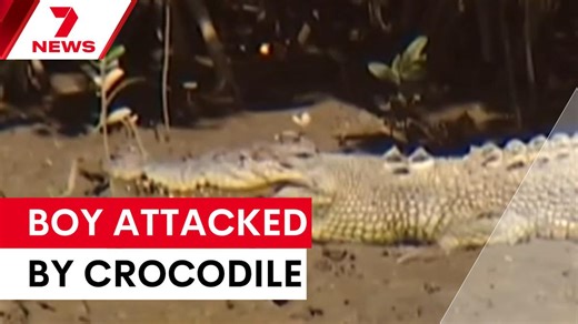 A 14-year-old boy has been mauled by a crocodile while fishing in the state’s far north