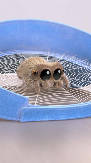 Lucas Spins a Web of Fun!