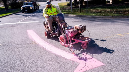 Looking for springtime dogwoods in bloom? Watch for the pink lines
