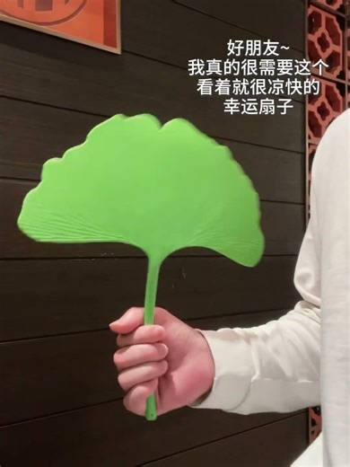 My good friend won't let me envy others. #GinkgoLeaf #Fan #SummerEssential #PlayWithSomethingNew