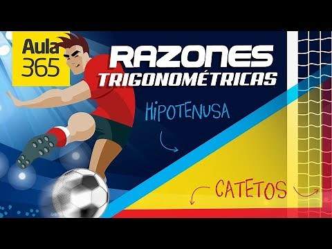¿Qué son las razones trigonométricas? | Videos Educativos Aula365