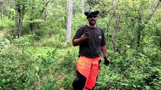 Cutting new trails through the forest with equipment