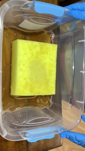 SpongeBob ASMR: Fluffy Cleaning with Pine-Sol