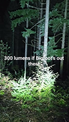 Xfinity X1 flashlight #camping #flashlight #lumens #trucklife #wilderness