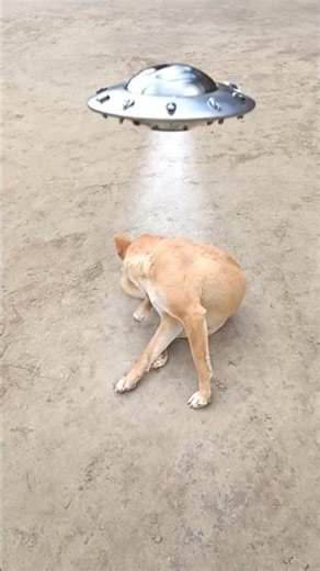 #alien #robot #unfrez #dancehall #dancehallmusic #freefirelovers #sip