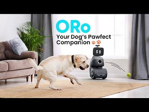 Meet ORo - the robot that can play with your dog when you're out