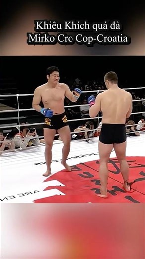 Japanese Fighter Angers Legendary Mirko Cro Cop: Tragic Ending