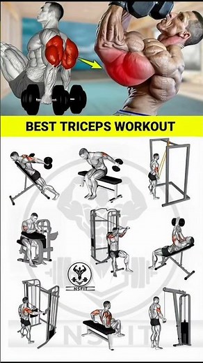 TRICEPS TONE UP FAST With Dumbbells vs Resistance Bands