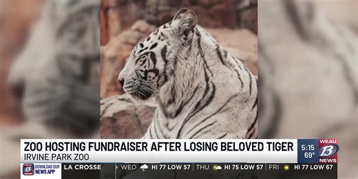 Irvin Park Zoo Fundraiser