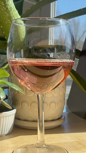 Dr. Jenna Ann Hunter, EdD MS RD on Instagram: "Simple Homemade Watermelon Wine ✨ So easy to make & perfect for the summer! Also, I personally taste tested it. It is good, and make sure your equipment & hands are squeaky clean when making this!! (recipe below & follow @thehealthyhophead for more easy recipes!) Recipe: Ingredients- 5 cups of fresh watermelon 3/4 cup sugar 1/2 tsp wine yeast Directions- 1. Add the watermelon to a blender & bled to a liquid. 2. Strain the liquid through a cheeseclot