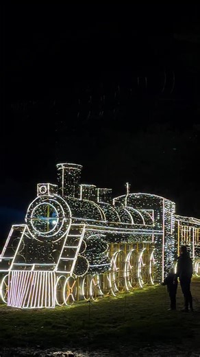 47K views · 797 reactions | Tonight we officially ⭐️ OPEN ⭐️ We can’t wait to welcome you all to our woodland home 歷 Follow the light, discover the magic ✨栗 #WindsorIlluminated | Windsor Great Park Illuminated | Facebook