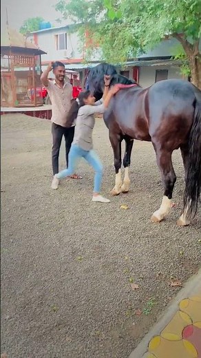 trying to mount the tall horse from ground by a beautiful girl #horseriding #bareback #horselover