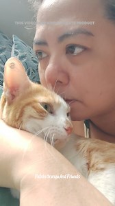 Deworm your pet cats and dogs regularly! 😺🐶 You can try Puainta Fenbendazole Tablets! 💪 This is a broad spectrum internal dewormer that targets different types of intestinal worms ✨ For proper medical advice, please consult your vet. #catreels #petlovers #catsoffacebook #pethealth #catlife #puainta #dewormer | Patchi, Orange & Friends