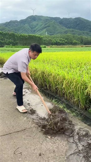 Farming Efficiency: Clearing Paths with a Wide Hoe! 🌾🚜 #shorts