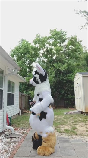 Have a draft from the pile! #fursuit #fyp #furryfandom #furry #fursuiting #furries