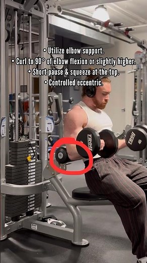 Elbow-Supported Dumbbell Bicep Curl