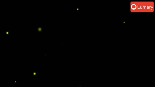 Brighten Up Your Pathway! Effortlessly light up your yard with Lumary Smart Pathway Lights. Control each light individually, change colors, or sync them with your music for the perfect outdoor vibe! 🌈🎶 #lumary #smartlighting #outdoordecor #pathwaylights #colorchanging #voicecontrol #waterprooflights #rgblights #outdoorparty #homeautomation #landscapedesign