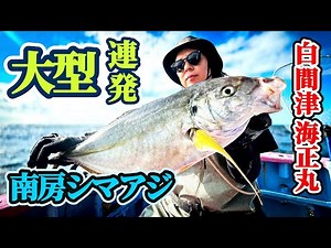 【南房シマアジ】連発！大型シマアジ乱舞💥【白間津 海正丸】
