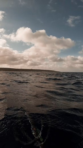 361K views · 3.3K reactions | Dive buddy of the year  | EJC Adventures | Facebook