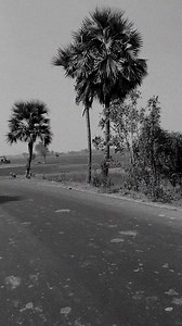 পথের গান, অপেক্ষার গান | Anirban Chatterjee