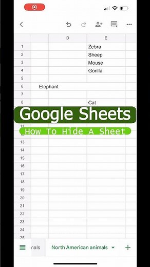 How to Hide a Sheet in Google Sheets Mobile?