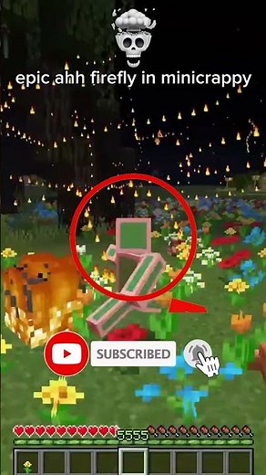 epic ahh firefly in minecraft 🟨⬛️😎
